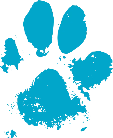 dog school academy logo