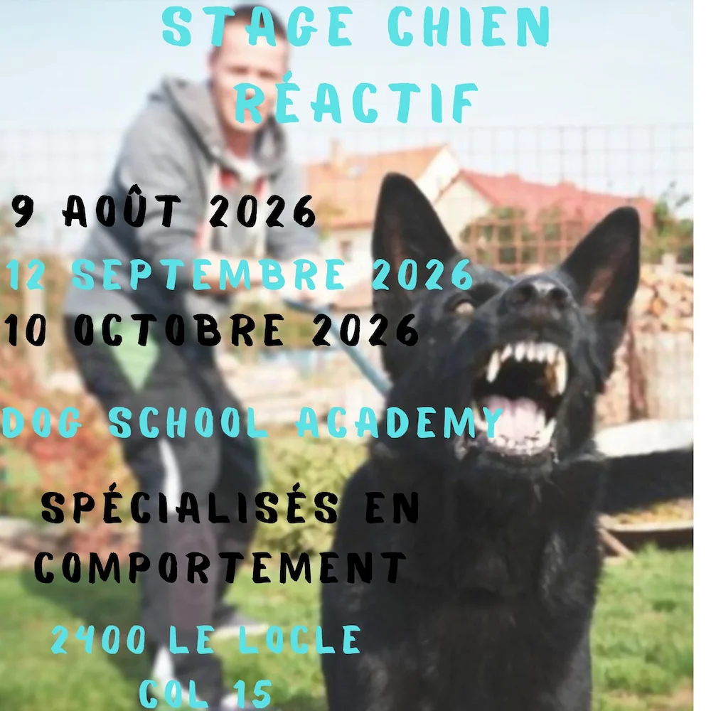 charly stage octobre 2026