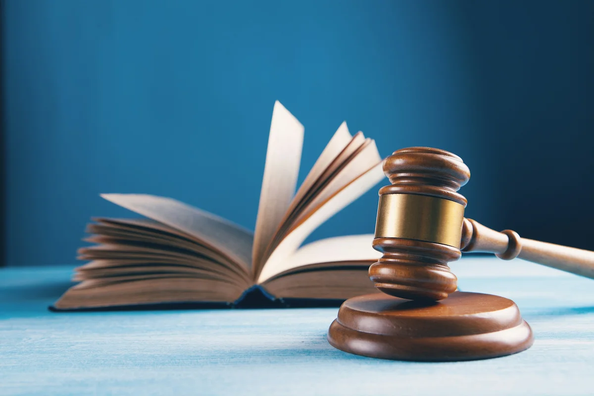 loi tribunal
